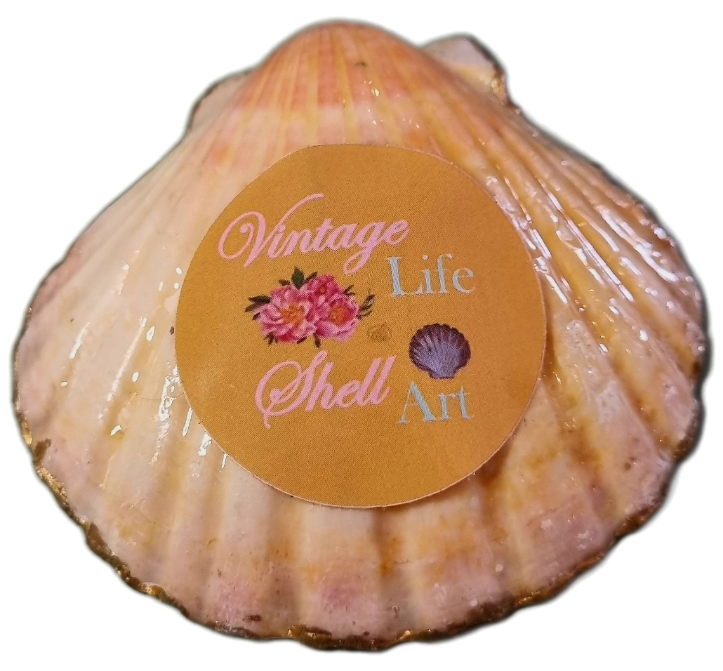 Hydrangea Shell Art - Ring or Soap Dish 🌸