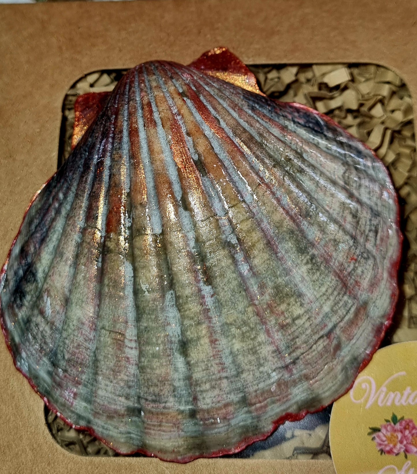 Shell Art - Scallop - Sea Birds 💙