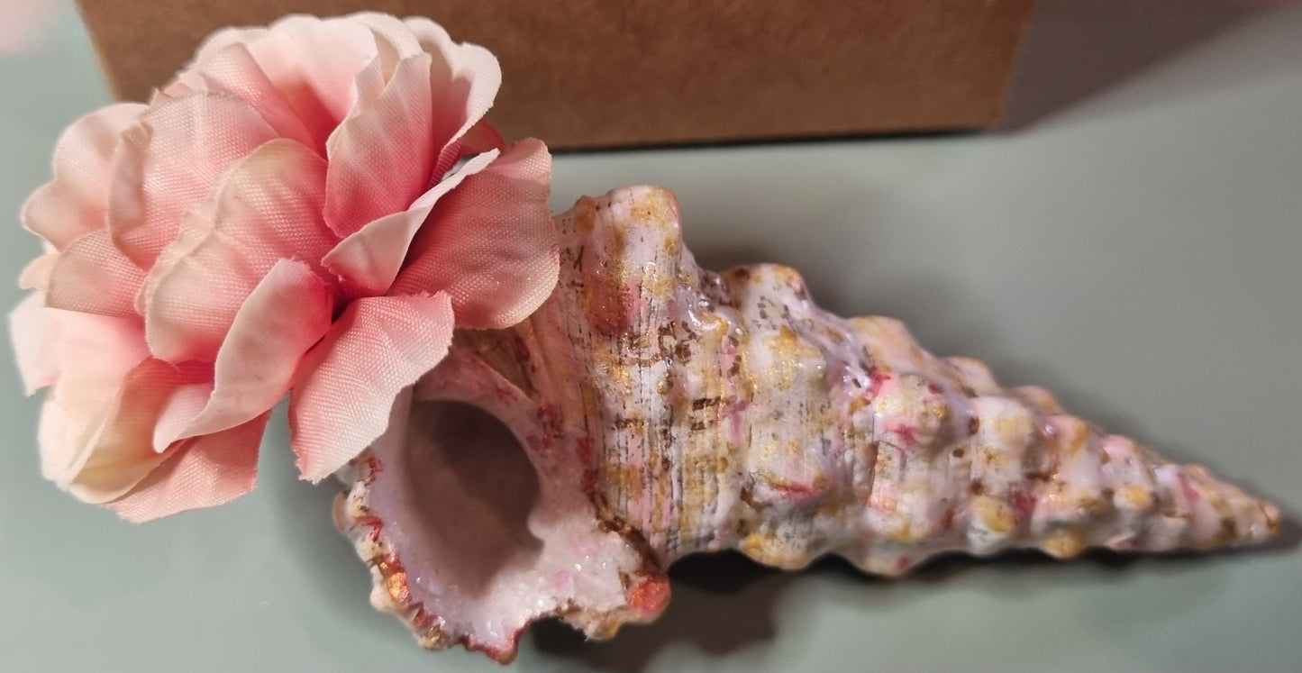 Shell Art - Unicorn 🦄 Horn Shell