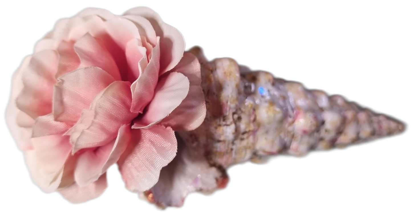 Shell Art - Unicorn 🦄 Horn Shell