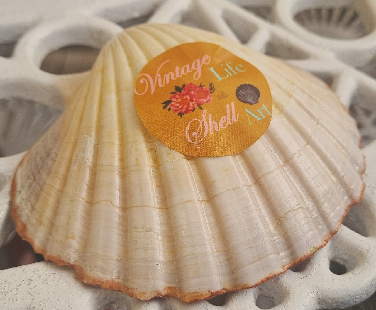 Dusky Pink & Rose Gold Shell Art